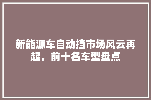 新能源车自动挡市场风云再起，前十名车型盘点