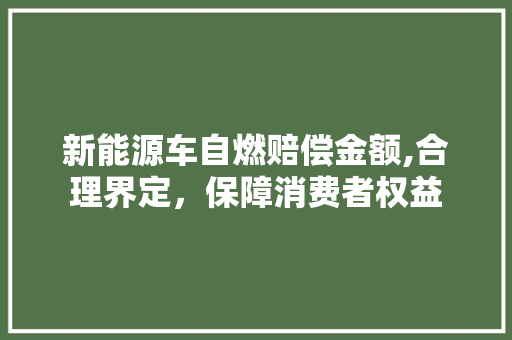 新能源车自燃赔偿金额,合理界定，保障消费者权益  第1张