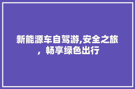 新能源车自驾游,安全之旅，畅享绿色出行  第1张