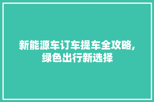 新能源车订车提车全攻略,绿色出行新选择