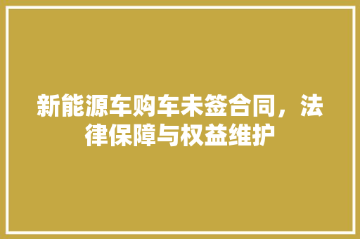 新能源车购车未签合同，法律保障与权益维护