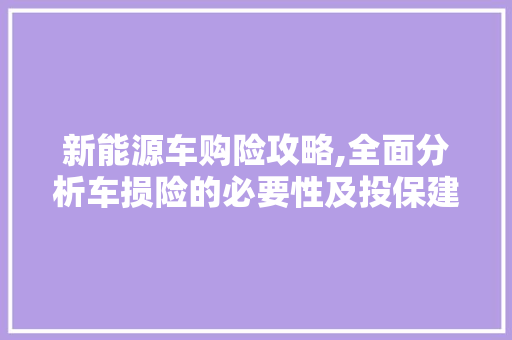 新能源车购险攻略,全面分析车损险的必要性及投保建议