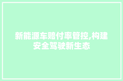 新能源车赔付率管控,构建安全驾驶新生态