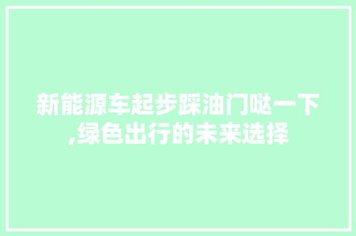 新能源车起步踩油门哒一下,绿色出行的未来选择