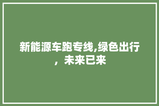 新能源车跑专线,绿色出行，未来已来