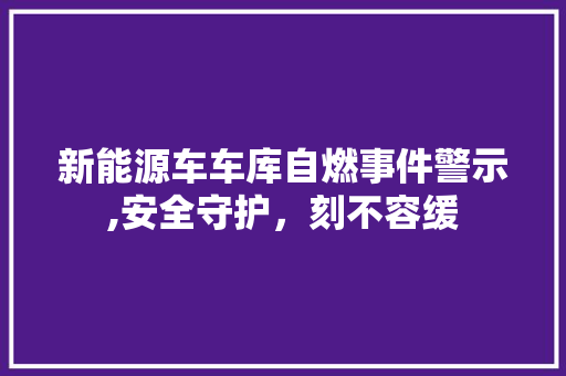 新能源车车库自燃事件警示,安全守护，刻不容缓