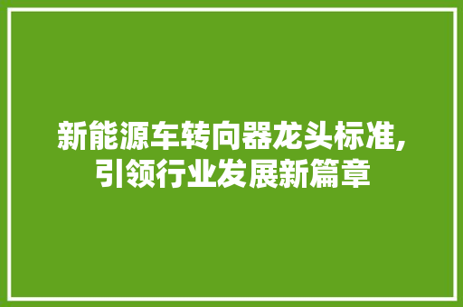 新能源车转向器龙头标准,引领行业发展新篇章