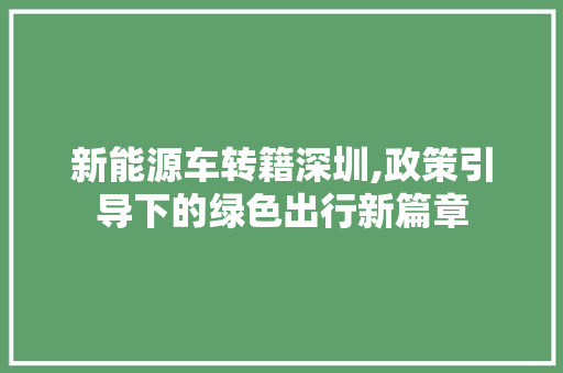 新能源车转籍深圳,政策引导下的绿色出行新篇章