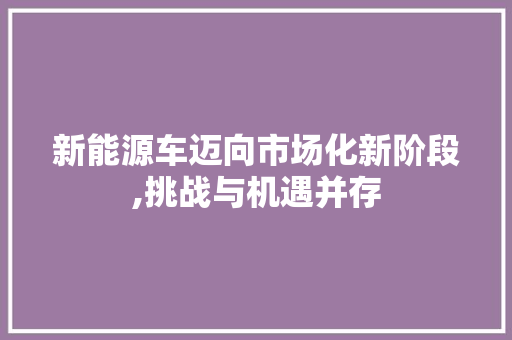 新能源车迈向市场化新阶段,挑战与机遇并存