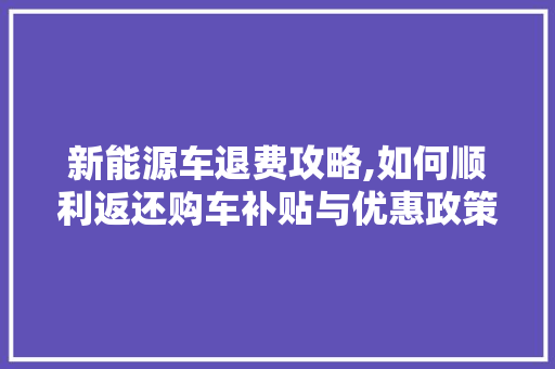 新能源车退费攻略,如何顺利返还购车补贴与优惠政策  第1张