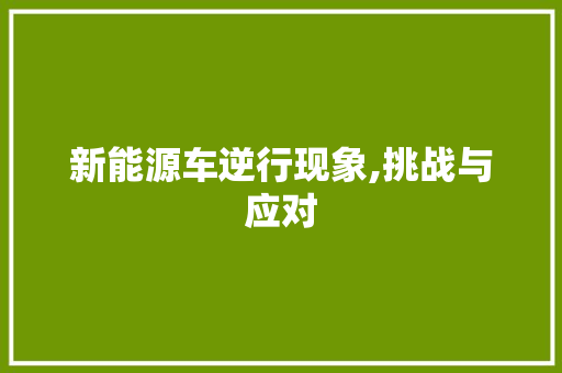 新能源车逆行现象,挑战与应对