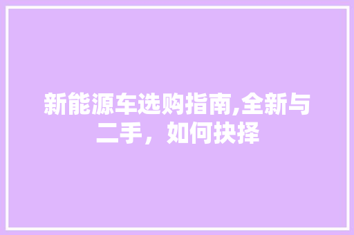 新能源车选购指南,全新与二手，如何抉择