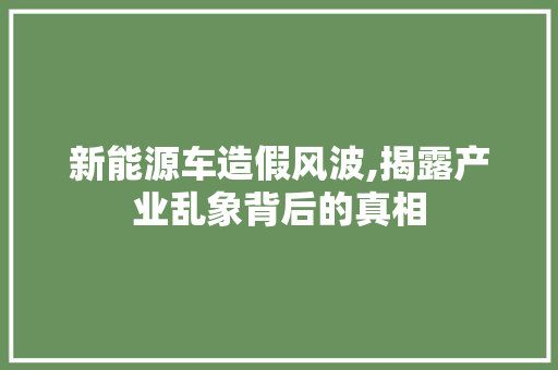 新能源车造假风波,揭露产业乱象背后的真相