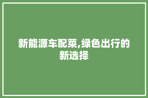 新能源车配菜,绿色出行的新选择