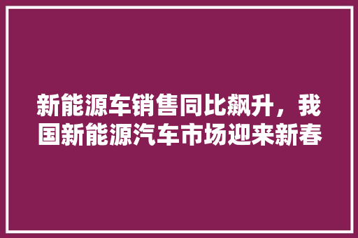 新能源车销售同比飙升，我国新能源汽车市场迎来新春天