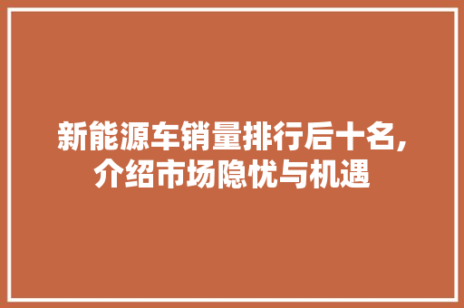 新能源车销量排行后十名,介绍市场隐忧与机遇