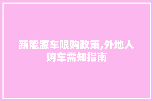 新能源车限购政策,外地人购车需知指南