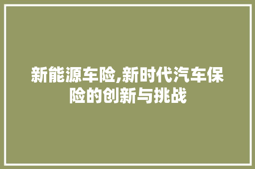 新能源车险,新时代汽车保险的创新与挑战