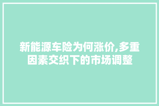 新能源车险为何涨价,多重因素交织下的市场调整