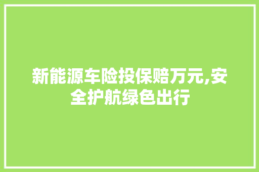 新能源车险投保赔万元,安全护航绿色出行