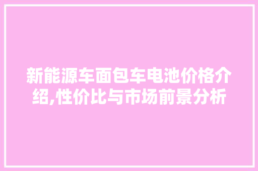 新能源车面包车电池价格介绍,性价比与市场前景分析  第1张