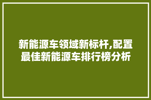 新能源车领域新标杆,配置最佳新能源车排行榜分析