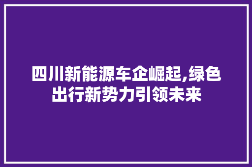 四川新能源车企崛起,绿色出行新势力引领未来