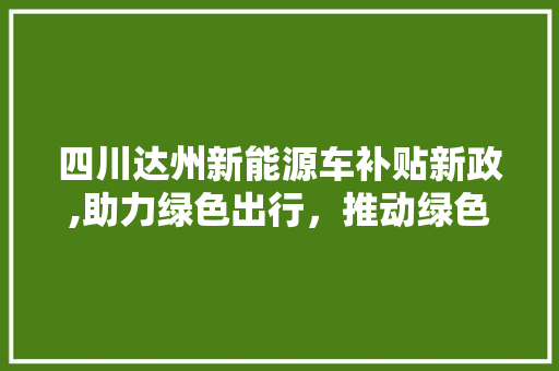 四川达州新能源车补贴新政,助力绿色出行，推动绿色低碳发展