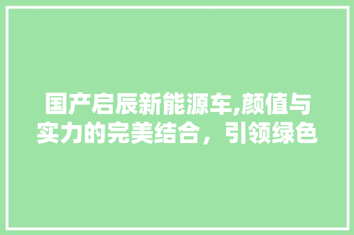 国产启辰新能源车,颜值与实力的完美结合，引领绿色出行新风尚