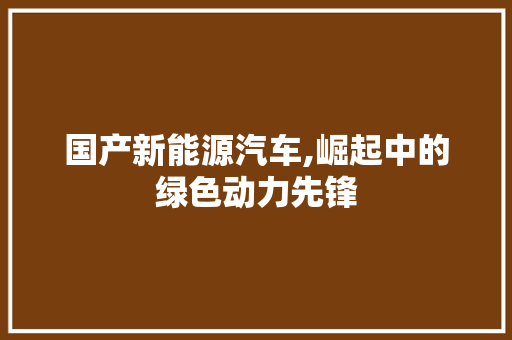 国产新能源汽车,崛起中的绿色动力先锋