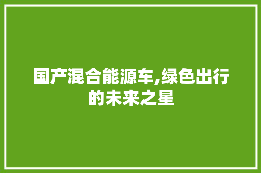 国产混合能源车,绿色出行的未来之星