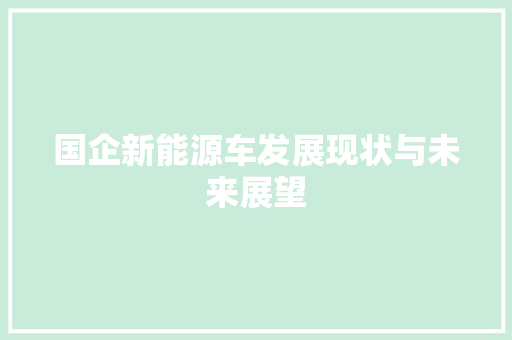 国企新能源车发展现状与未来展望