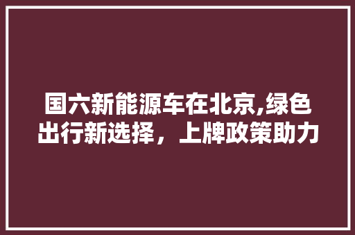 国六新能源车在北京,绿色出行新选择，上牌政策助力环保未来