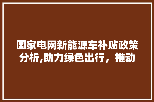 国家电网新能源车补贴政策分析,助力绿色出行，推动能源转型