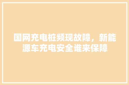 国网充电桩频现故障，新能源车充电安全谁来保障