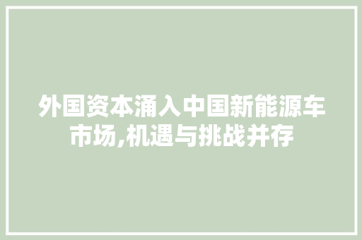 外国资本涌入中国新能源车市场,机遇与挑战并存