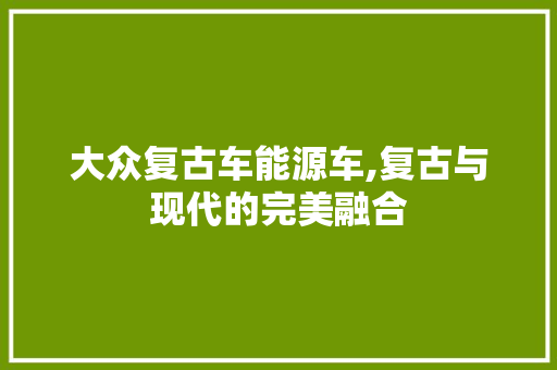 大众复古车能源车,复古与现代的完美融合