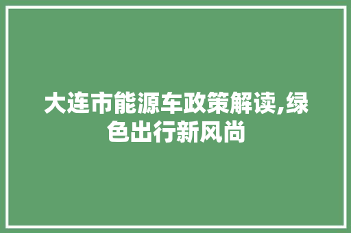 大连市能源车政策解读,绿色出行新风尚