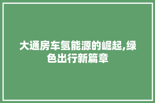 大通房车氢能源的崛起,绿色出行新篇章