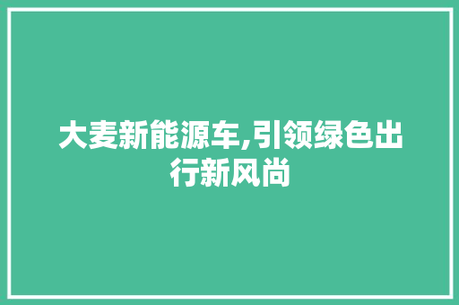 大麦新能源车,引领绿色出行新风尚