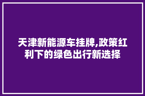 天津新能源车挂牌,政策红利下的绿色出行新选择