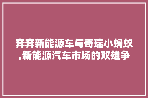 奔奔新能源车与奇瑞小蚂蚁,新能源汽车市场的双雄争霸