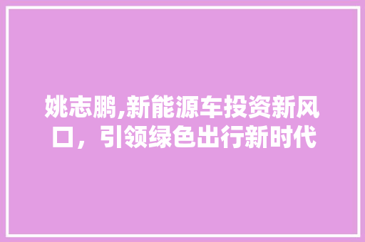 姚志鹏,新能源车投资新风口，引领绿色出行新时代