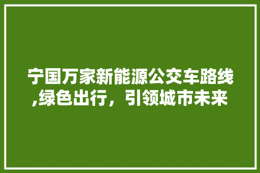 宁国万家新能源公交车路线,绿色出行，引领城市未来