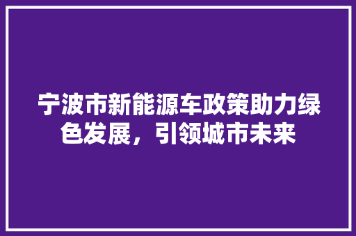 宁波市新能源车政策助力绿色发展，引领城市未来