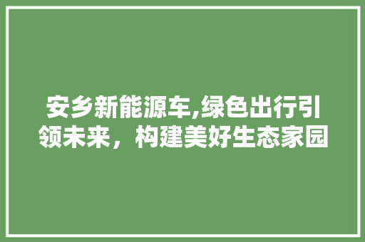 安乡新能源车,绿色出行引领未来，构建美好生态家园