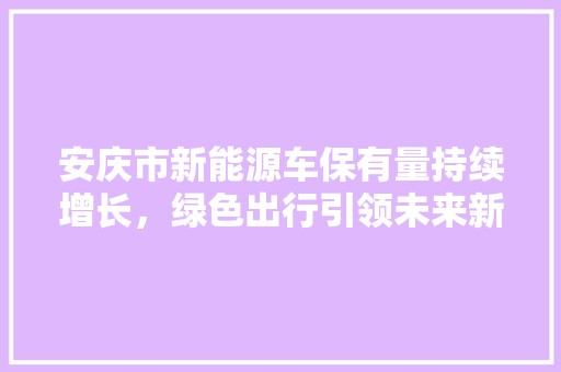 安庆市新能源车保有量持续增长，绿色出行引领未来新风尚