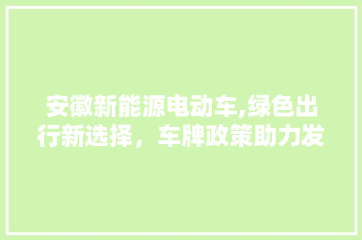 安徽新能源电动车,绿色出行新选择，车牌政策助力发展