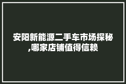 安阳新能源二手车市场探秘,哪家店铺值得信赖