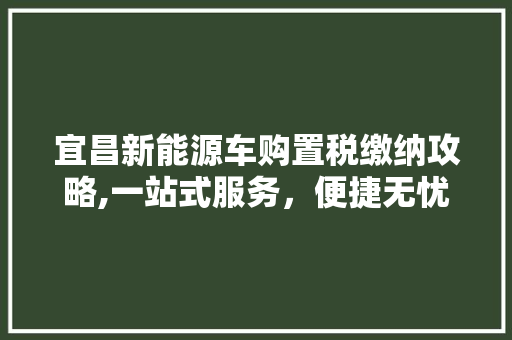 宜昌新能源车购置税缴纳攻略,一站式服务，便捷无忧